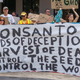 Illustration for article titled Could open-source GMOs bring down Monsanto at last?